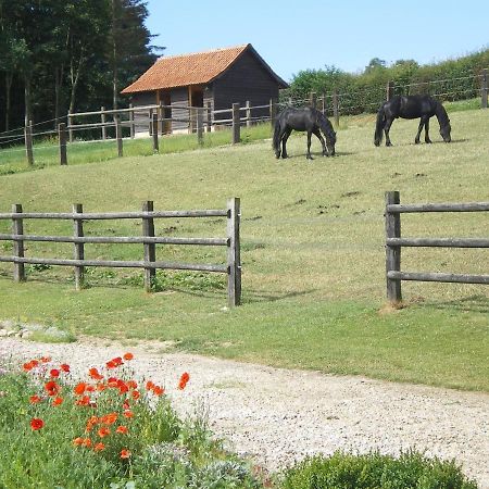 Ferme Des Tilleuls Bezinghem 外观 照片