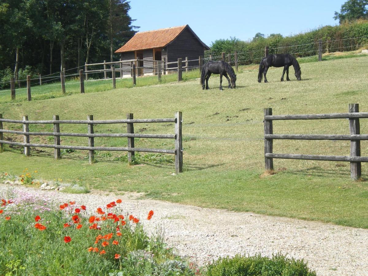 Ferme Des Tilleuls Bezinghem 外观 照片